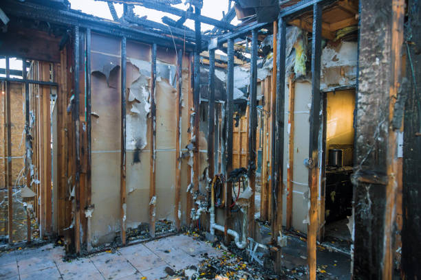 Professional Fire Damage Repair technician working in Buchanan, GA
